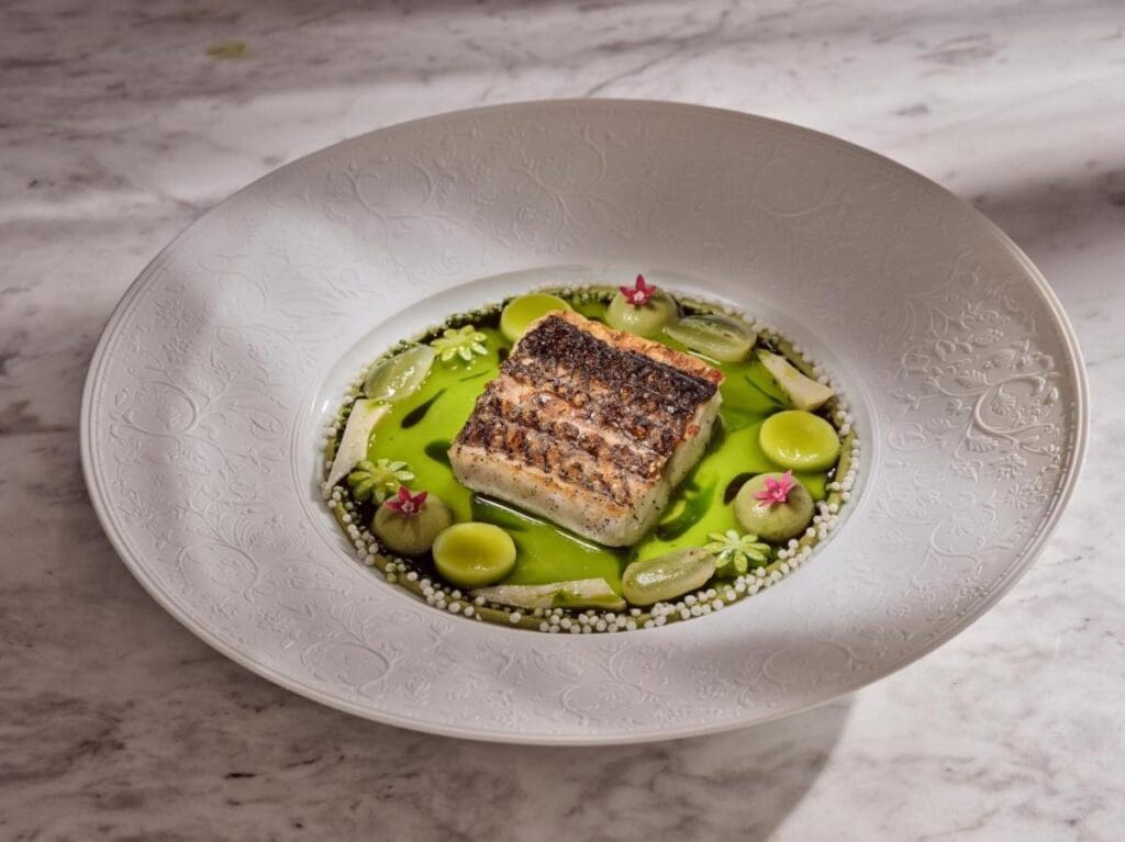 Luxury Villa retreat