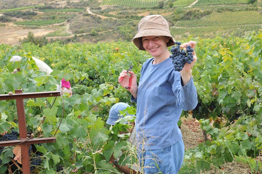 Eco friendly retreat venue | Imagine Greece Retreats