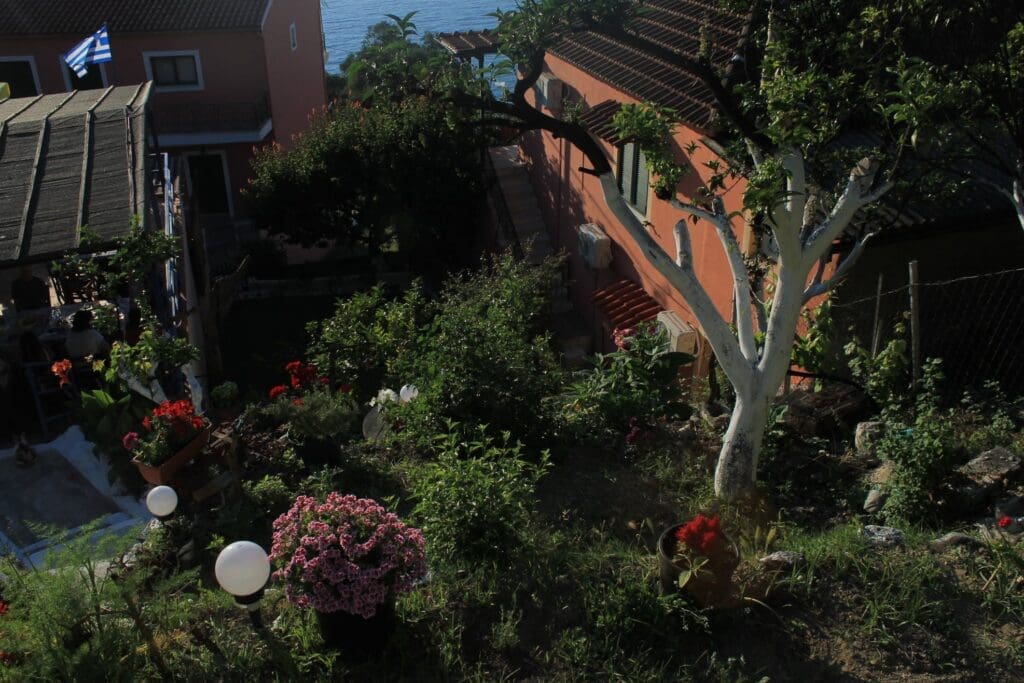 Yoga haven in Corfu | Imagine Greece Retreats yoga