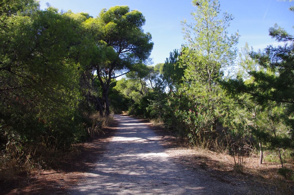 Daphne's Club — Eco Retreat Venue in the Peloponnese | Imagine Greece Retreats | Imagine Greece Retreats
