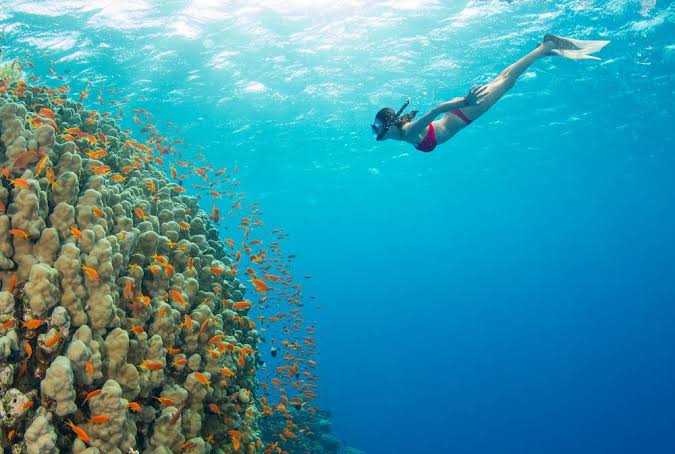 Retreat Venue in Jamaica | Imagine Greece Retreats | Imagine Greece Retreats snorkelling Jamaica