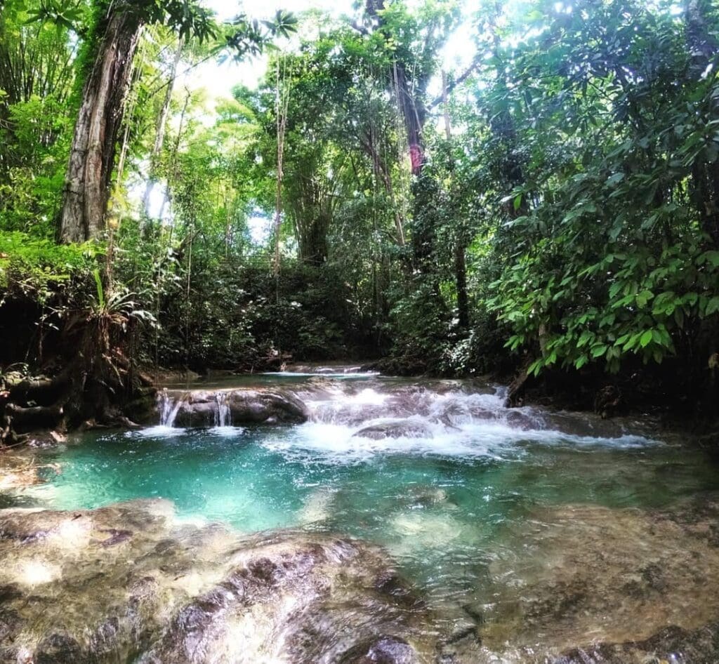 Retreat Venue in Jamaica | Imagine Greece Retreats | Imagine Greece Retreats Mayfield-Falls-3